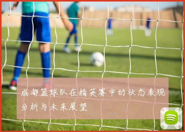 成都篮球队在精英赛中的状态表现分析与未来展望