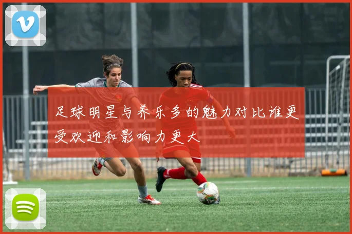 足球明星与养乐多的魅力对比谁更受欢迎和影响力更大