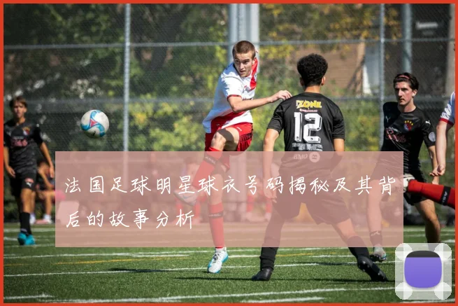法国足球明星球衣号码揭秘及其背后的故事分析