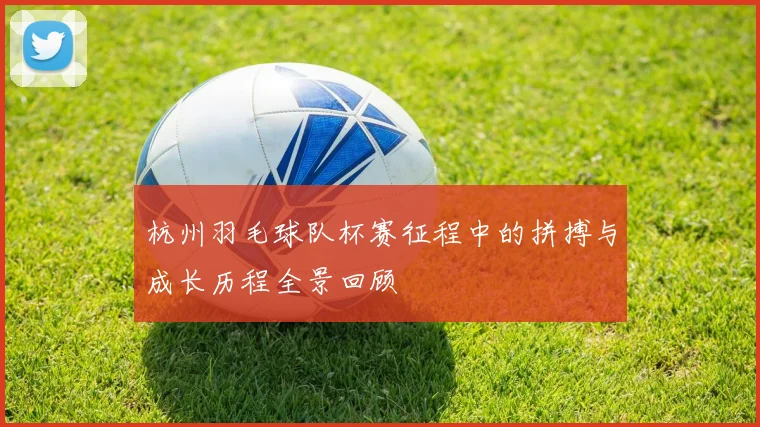 杭州羽毛球队杯赛征程中的拼搏与成长历程全景回顾