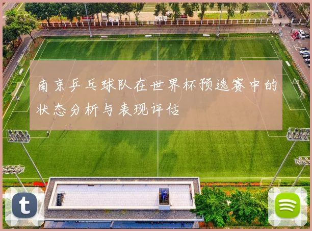 南京乒乓球队在世界杯预选赛中的状态分析与表现评估