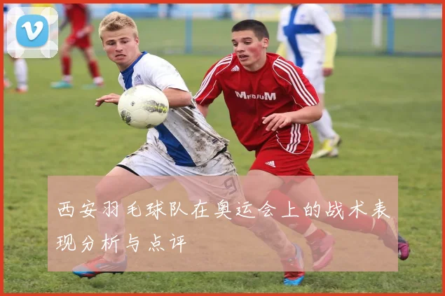 西安羽毛球队在奥运会上的战术表现分析与点评