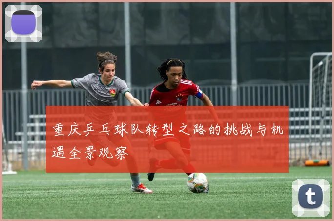 重庆乒乓球队转型之路的挑战与机遇全景观察