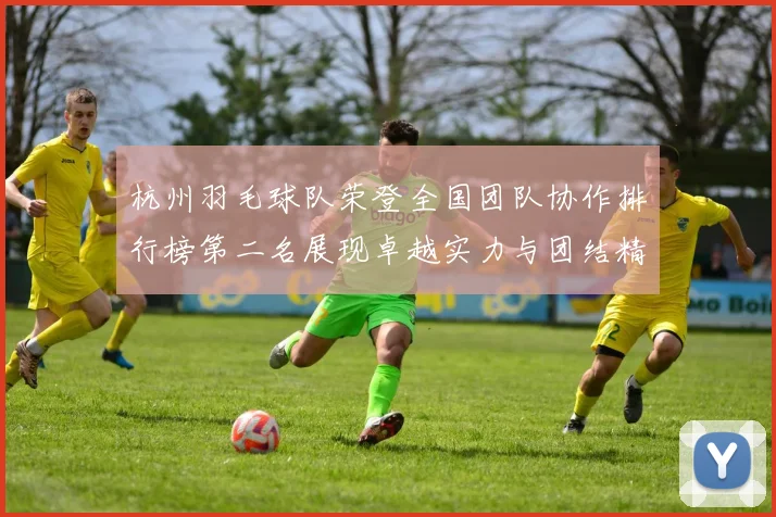 杭州羽毛球队荣登全国团队协作排行榜第二名展现卓越实力与团结精神