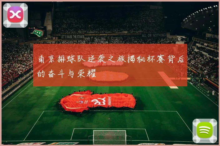 南京排球队逆袭之旅揭秘杯赛背后的奋斗与荣耀