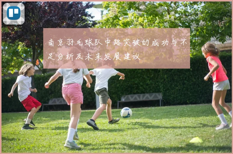 南京羽毛球队中路突破的成功与不足分析及未来发展建议