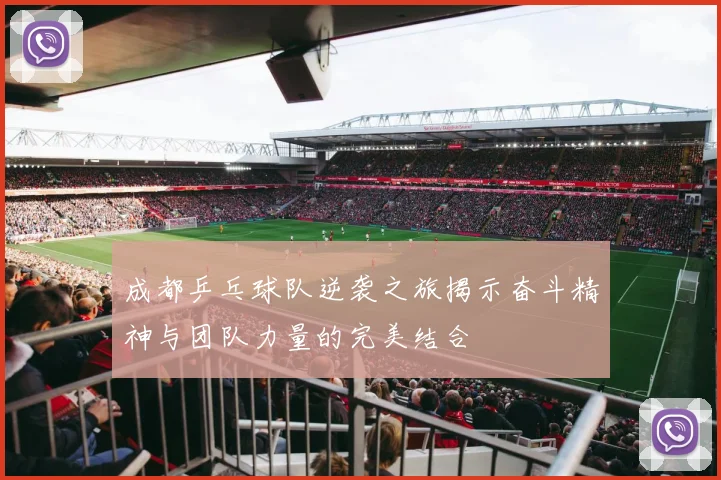 成都乒乓球队逆袭之旅揭示奋斗精神与团队力量的完美结合