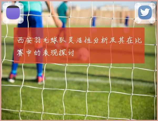 西安羽毛球队灵活性分析及其在比赛中的表现探讨