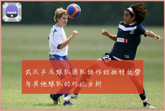 武汉乒乓球队团队协作的独特优势与其他球队的对比分析