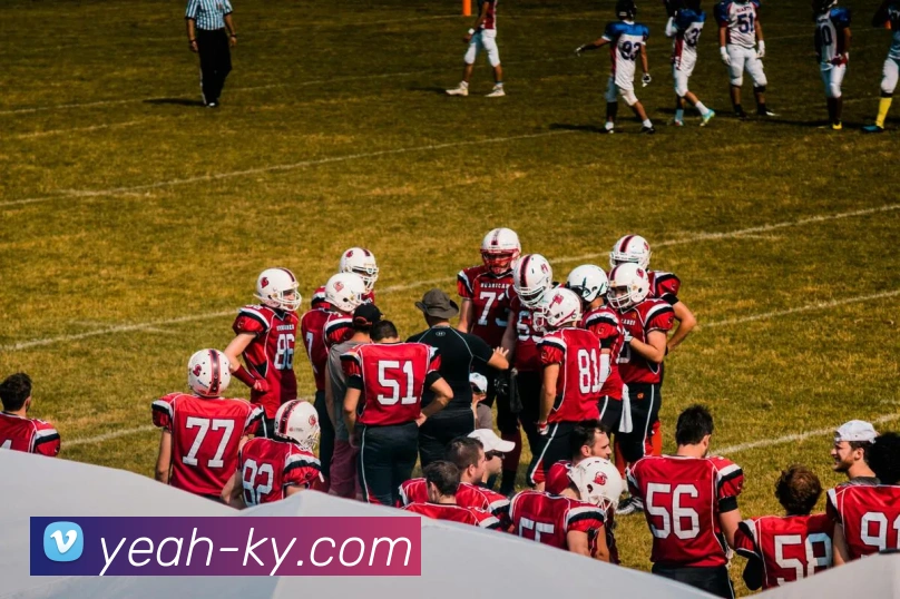 开云(Kaiyun)平台生态图