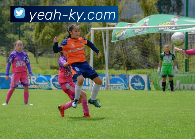 开云(Kaiyun)APP 封面图